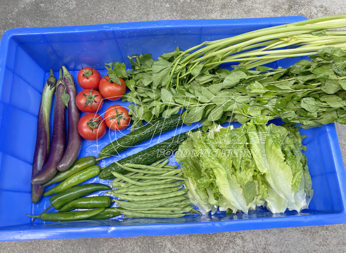 DS-WB260 Lavadora de burbujas de alta presión para alimentos de frutas y verduras