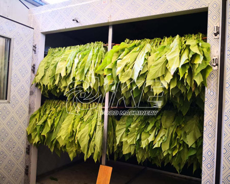 ¿Cómo secar hojas frescas de tabaco?