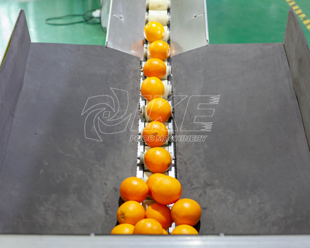 ¿Cómo se envasan rápidamente en lotes las naranjas del supermercado de frutas?cid=27