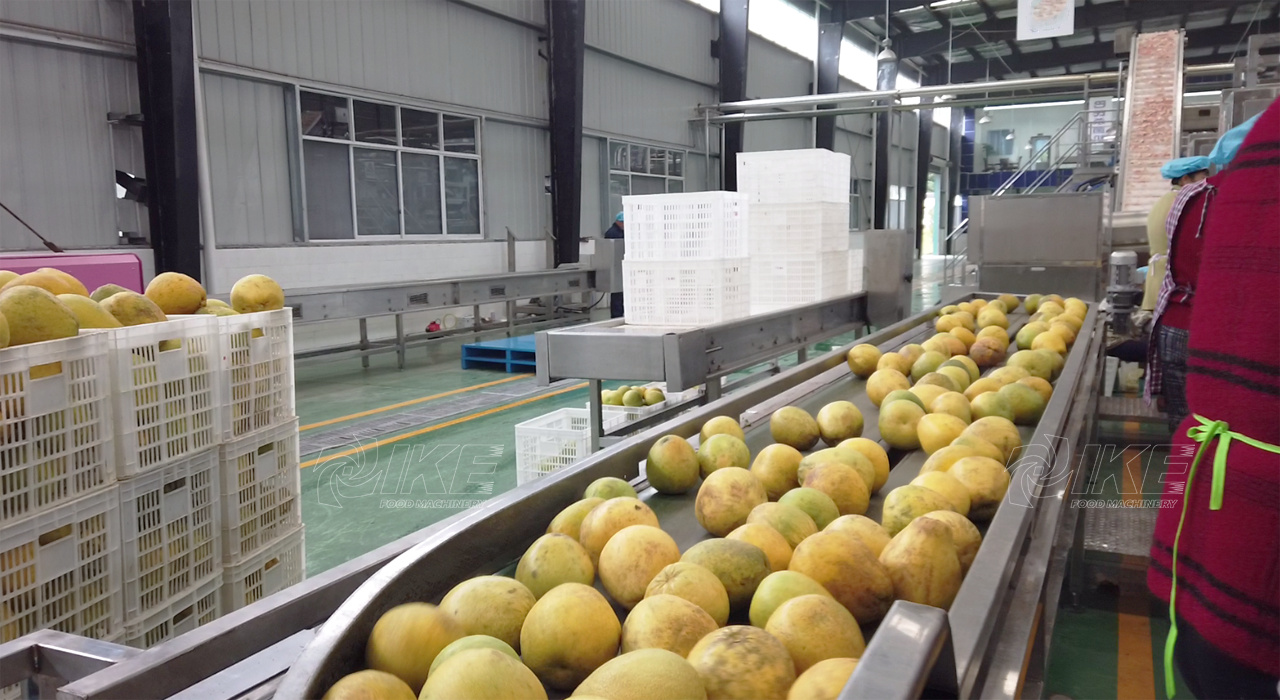 Caso de construcción de taller de procesamiento de fruta de grado industrial
