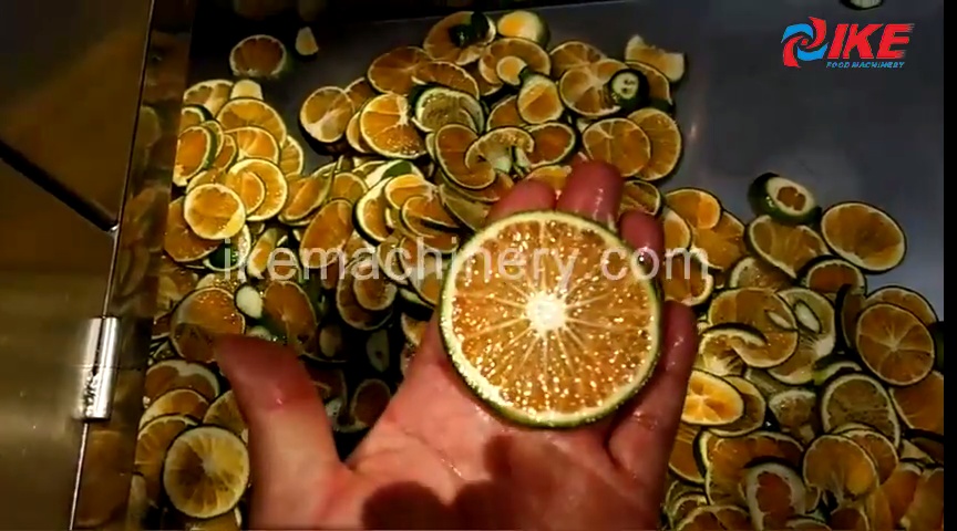 La cortadora de alimentos KP-DP06 muestra cómo cortar naranjas de manera eficiente con poco daño