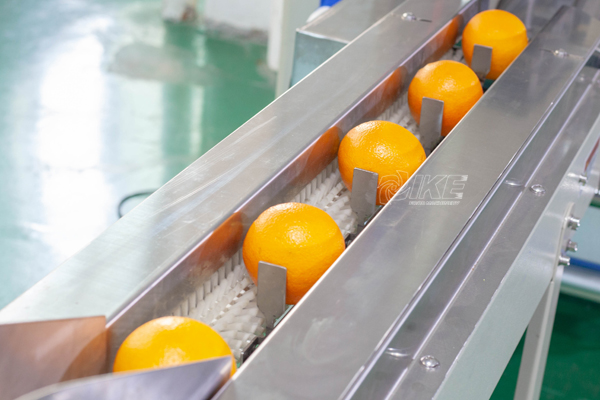 Máquina de embalaje naranja