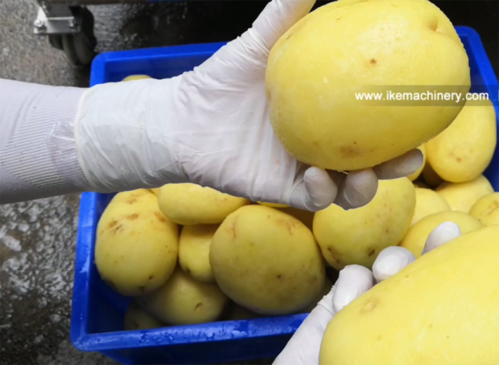 Fregadora y peladora de patatas