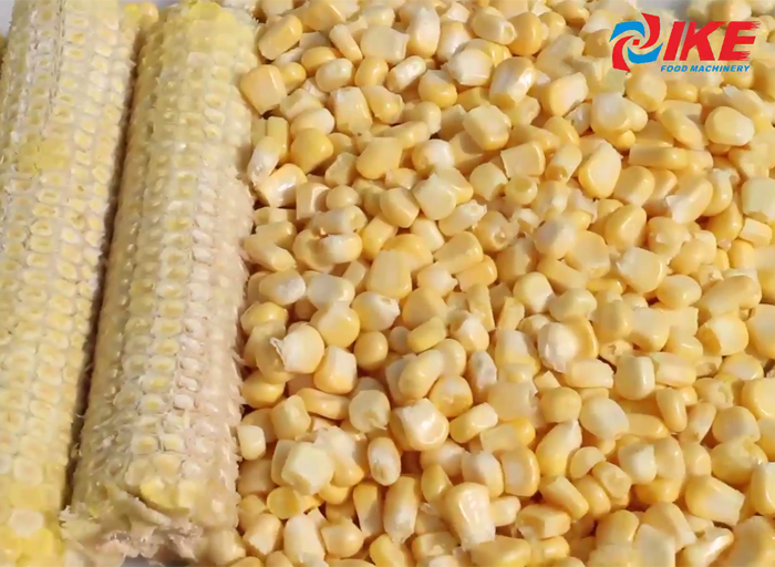 DS-C220 Trilladora de maíz fresco y maíz cocido