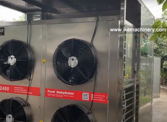 El secador de alimentos de gran tamaño con mayor eficiencia energética