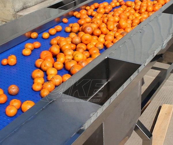 Línea de producción naranja