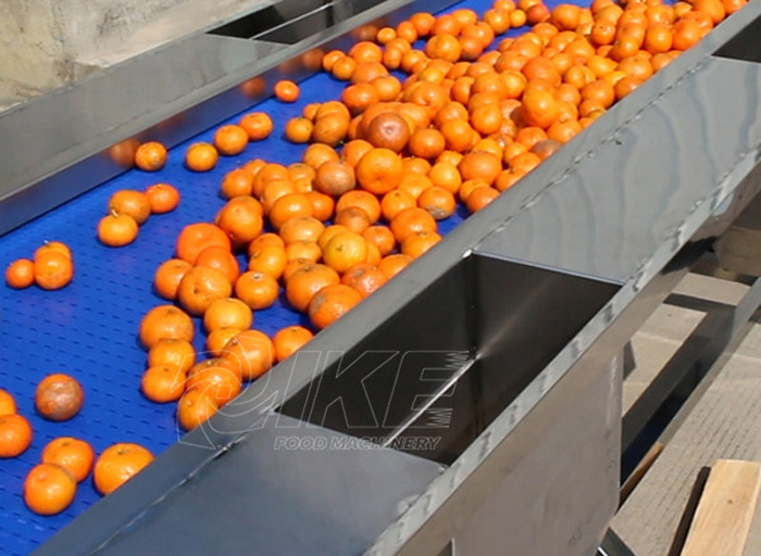 Línea de producción de selección de limpieza y secado al aire de naranja