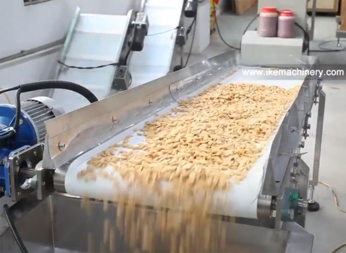 Línea de procesamiento de la máquina de envasado de maní